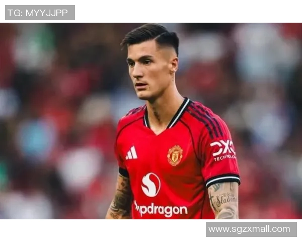 谢什科的传奇旅程与他对足球的深刻影响与启示