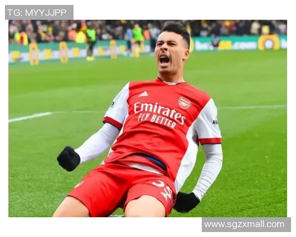 马丁内利：从年轻天才到足球场上的闪耀明星之路